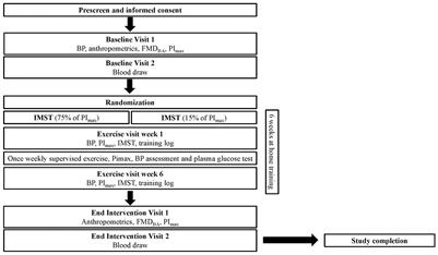 Inspiratory muscle strength training to improve cardiometabolic health in patients with type 2 diabetes mellitus: protocol for the diabetes inspiratory training clinical trial